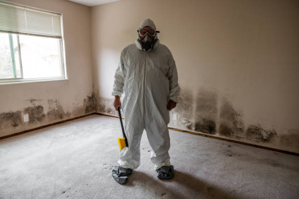 Crystal River, FL Mold Removal Company