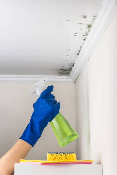 Best Mold Testing  in Crystal River, FL